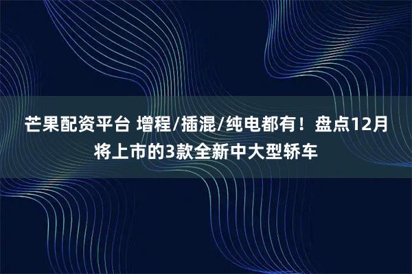 芒果配资平台 增程/插混/纯电都有！盘点12月将上市的3款全新中大型轿车