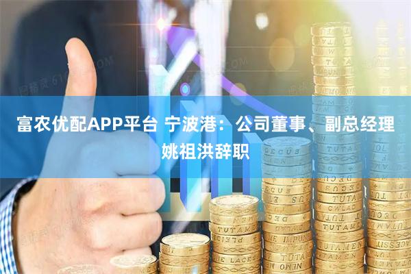 富农优配APP平台 宁波港：公司董事、副总经理姚祖洪辞职
