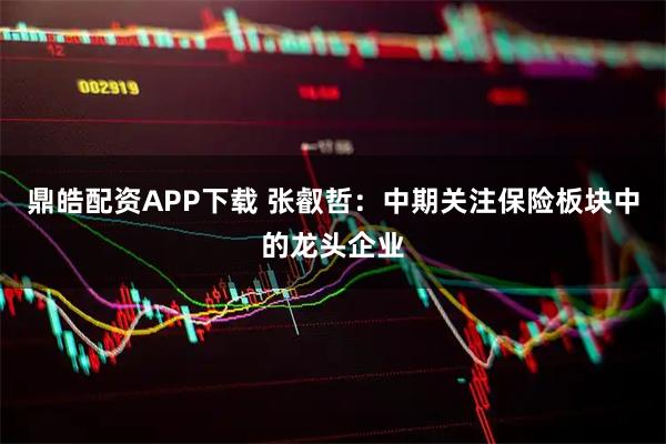 鼎皓配资APP下载 张叡哲：中期关注保险板块中的龙头企业