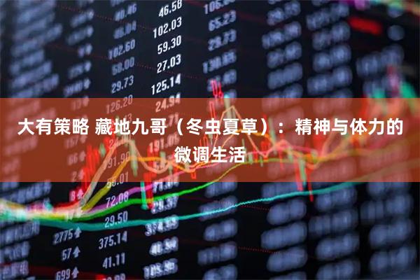 大有策略 藏地九哥（冬虫夏草）：精神与体力的微调生活