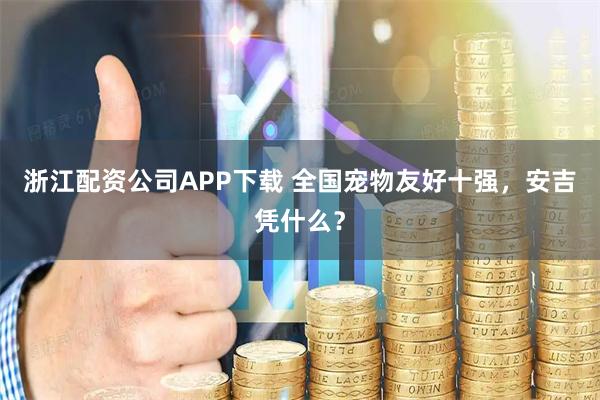 浙江配资公司APP下载 全国宠物友好十强，安吉凭什么？