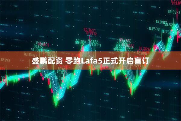 盛鹏配资 零跑Lafa5正式开启盲订